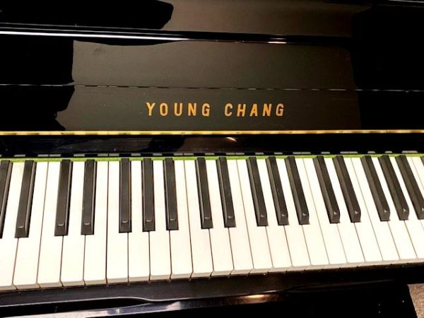 Young Chang U107A